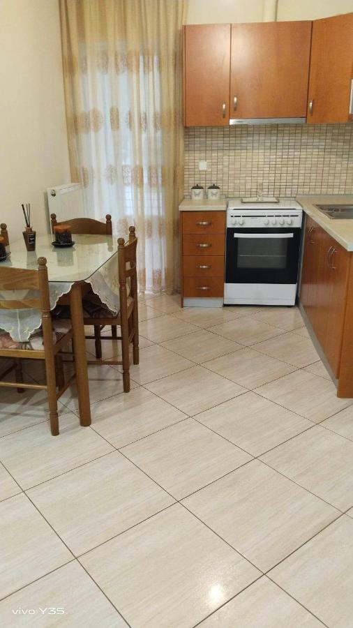 Ομορφο Διαμερισμα Στο Κεντρο Της Πολης Με Παρκιν Leilighet Tríkala Eksteriør bilde
