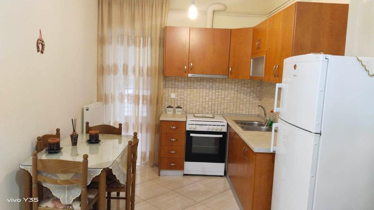 Ομορφο Διαμερισμα Στο Κεντρο Της Πολης Με Παρκιν Leilighet Tríkala Eksteriør bilde